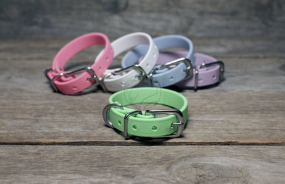 Discontinued- Limited Pastel Mint Green Biothane Small Dog Collar - 1/2" (12mm) wide