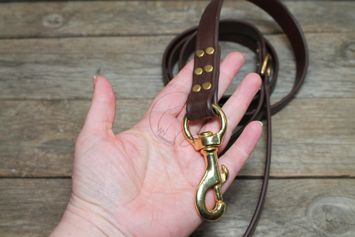 Dark Chocolate Brown Biothane Large Dog Leash