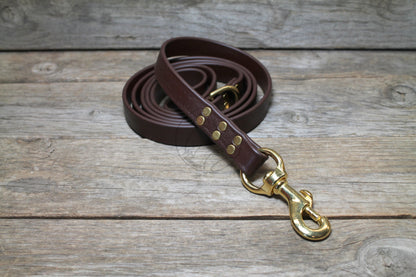 Dark Chocolate Brown Biothane Large Dog Leash