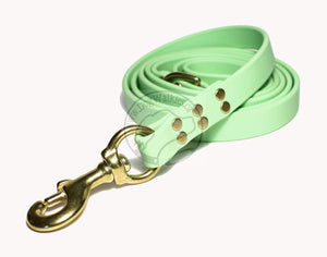 Discontinued- Limited Pastel Mint Green Biothane Large Dog Leash