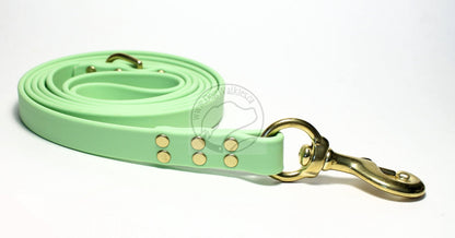 Discontinued- Limited Pastel Mint Green Biothane Large Dog Leash