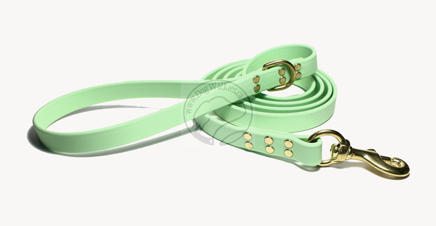Discontinued- Limited Pastel Mint Green Biothane Large Dog Leash