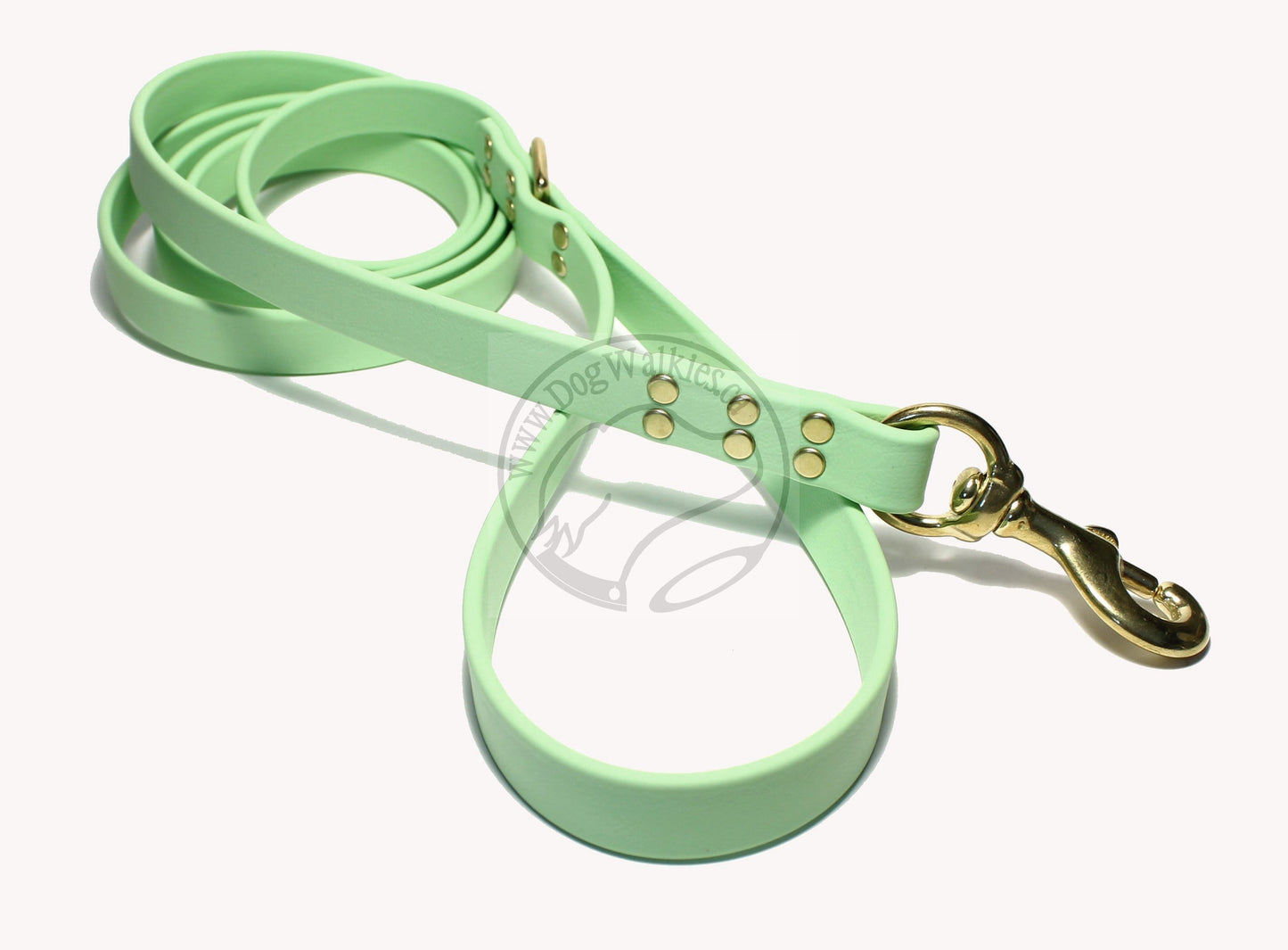 Discontinued- Limited Pastel Mint Green Biothane Large Dog Leash