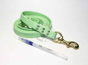 Discontinued- Limited Pastel Mint Green Biothane Large Dog Leash