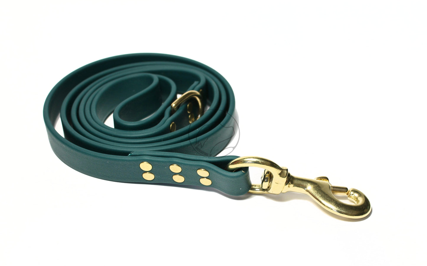 Pine Green Biothane Large Dog Leash