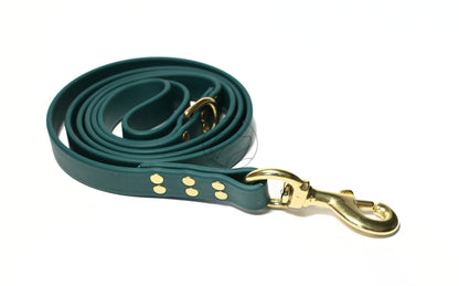 Pine Green Biothane Large Dog Leash