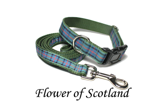 Flower of Scotland tartan - dog collar