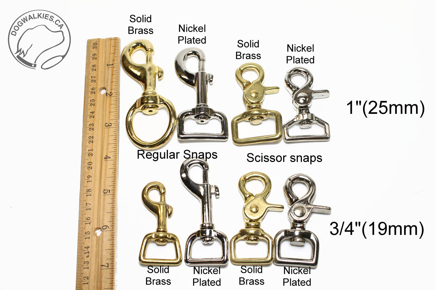 Nylon Dog Leash; Simple - Elegant - Strong; Regular Plain Leash; 1" (25mm) wide