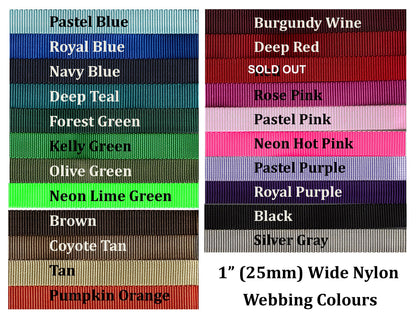 Nylon Dog Leash; Simple - Elegant - Strong; Regular Plain Leash; 1" (25mm) wide