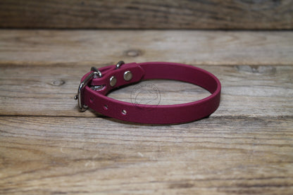 Wine Merlot Biothane Small Dog Collar - 1/2" (12mm) wide