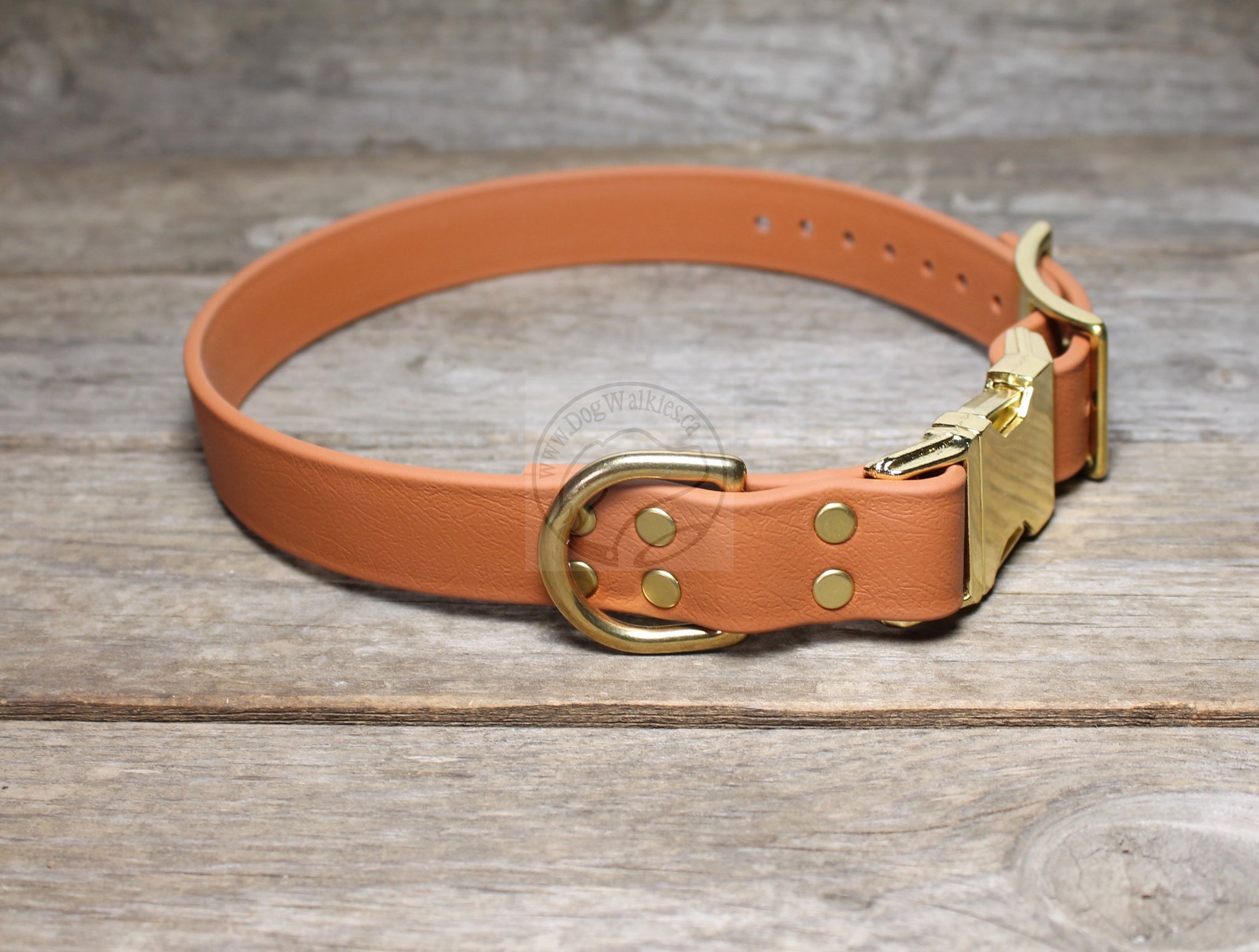 Side Release Dog Collar in Biothane - 35 colours -  1" (25mm) wide