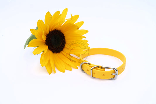 Sunflower Yellow Biothane Small Dog Collar - 1/2" (12mm) wide