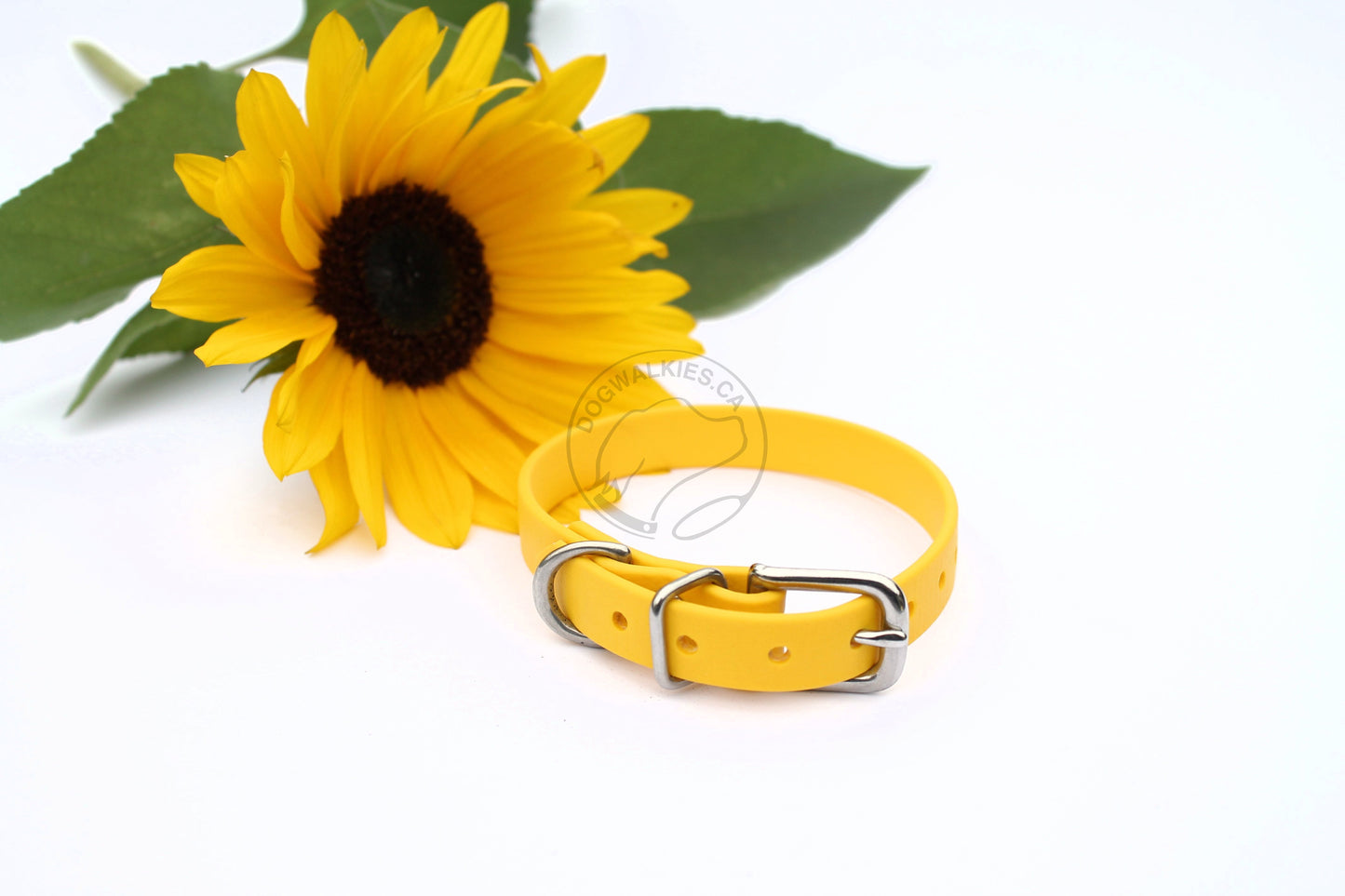 Sunflower Yellow Biothane Small Dog Collar - 1/2" (12mm) wide