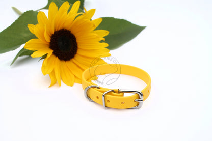 Sunflower Yellow Biothane Small Dog Collar - 1/2" (12mm) wide