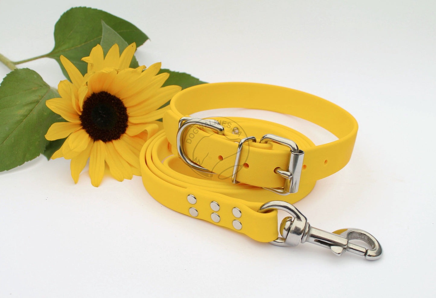 Sunflower Yellow Biothane Dog Collar - 1 inch (25mm) wide