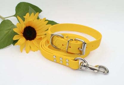 Sunflower Yellow Biothane Dog Collar - 1 inch (25mm) wide