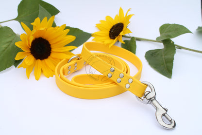 Heavy Biothane Leash 3/4" (20mm) wide - waterproof leash - all colours