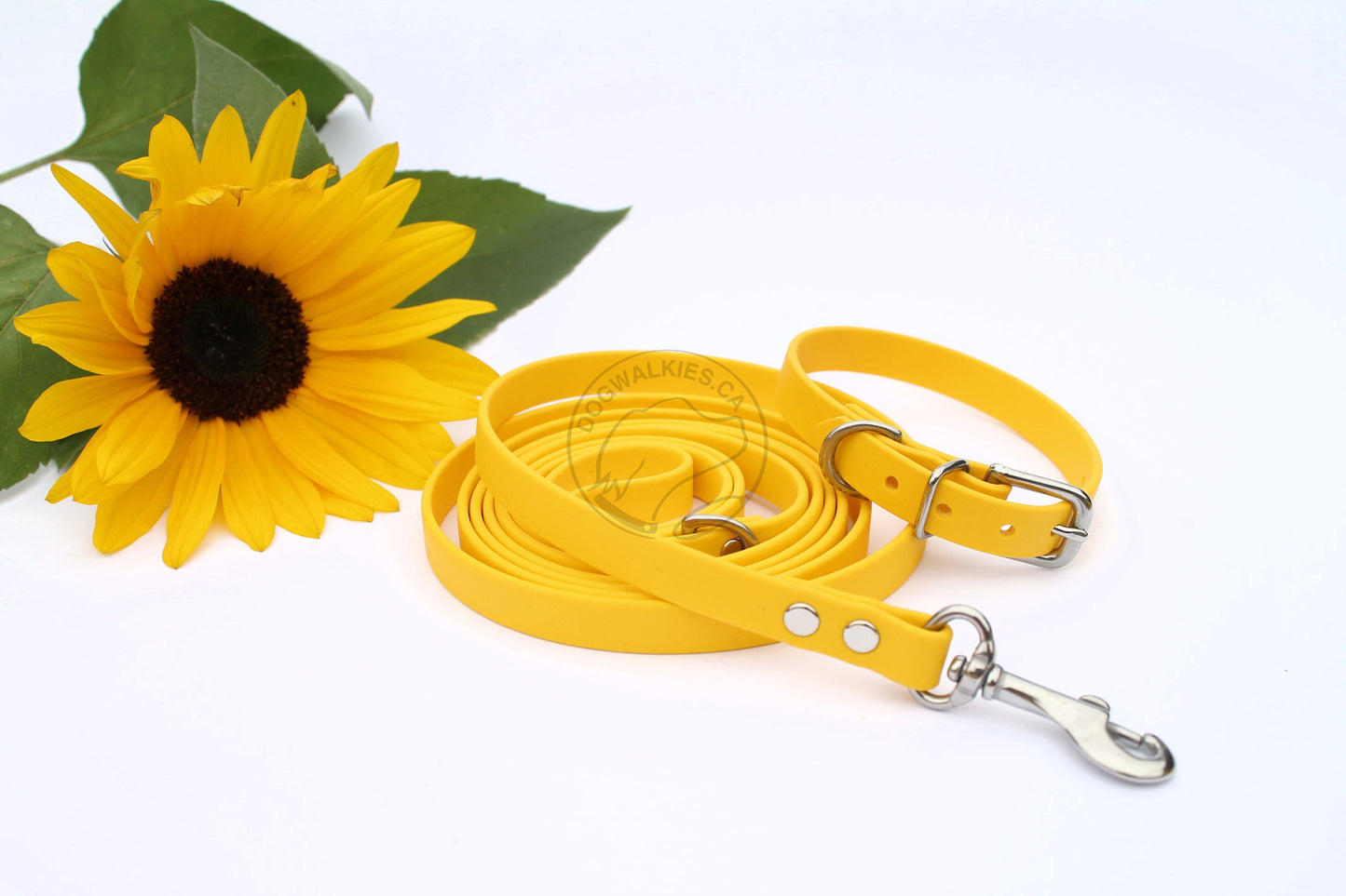 Sunflower Yellow Biothane Small Dog Collar - 1/2" (12mm) wide