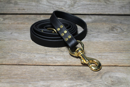 Jet Black Biothane Large Dog Leash