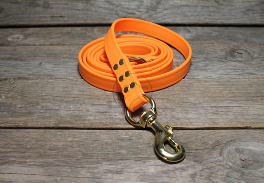 Bright Pumpkin Orange Biothane Large Dog Leash, 20mm (3/4")