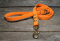 Heavy Biothane Leash 3/4" (20mm) wide - waterproof leash - all colours