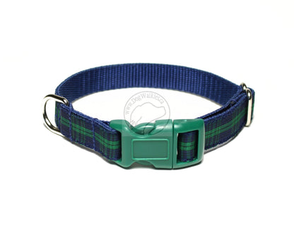 Blackwatch clan tartan - dog collar