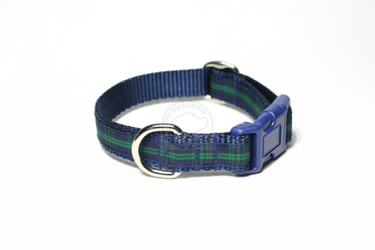 Blackwatch clan tartan - dog collar