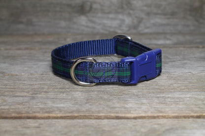 Blackwatch clan tartan - dog collar