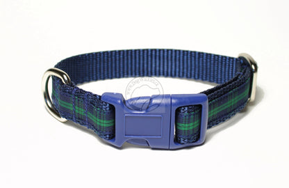 Blackwatch clan tartan - dog collar