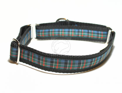 Colquhoun Clan tartan - dog collar