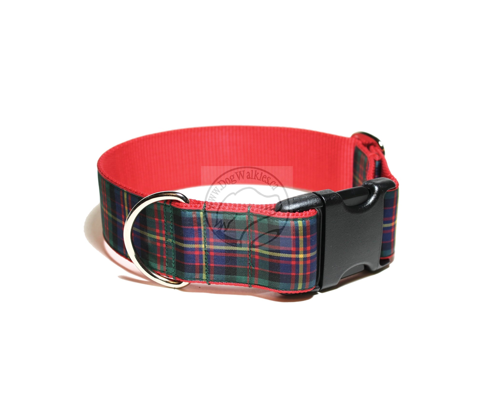 Cameron of Erracht clan tartan - dog collar