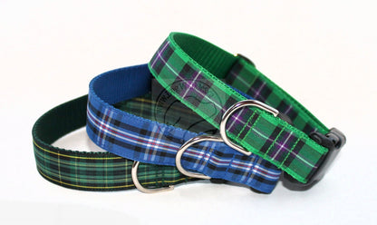 Hibernian FC Hibs tartan - dog collar