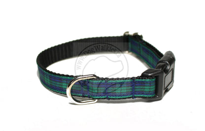 Blackwatch green edge clan tartan - dog collar
