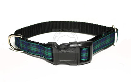 Blackwatch green edge clan tartan - dog collar