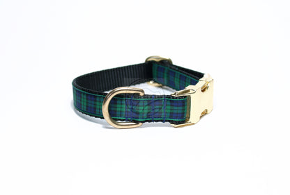 Blackwatch green edge clan tartan - dog collar