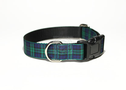 Blackwatch green edge clan tartan - dog collar