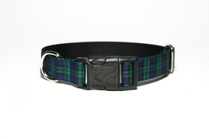Blackwatch green edge clan tartan - dog collar
