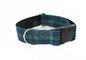 Blackwatch green edge clan tartan - dog collar
