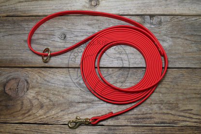 Lighter Weight Waterproof leashes - leash for cats - tracking recall long line - 3/8" (9mm) Biothane