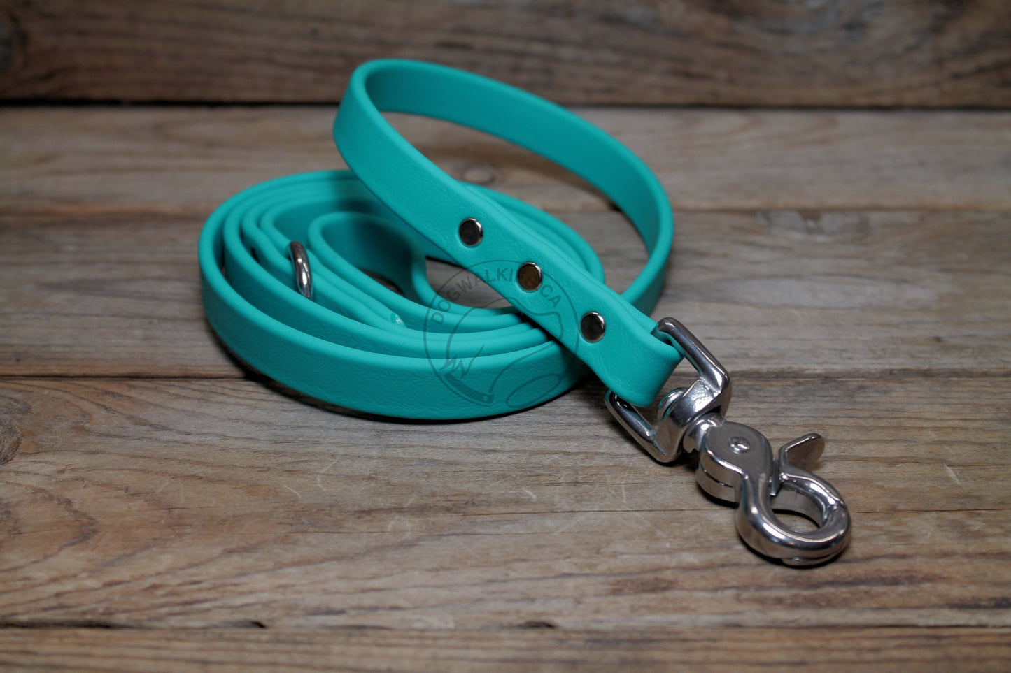 Teal Biothane Dog Leash - Regular 16mm (5/8") width