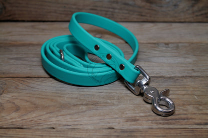 Teal Biothane Dog Leash - Regular 16mm (5/8") width