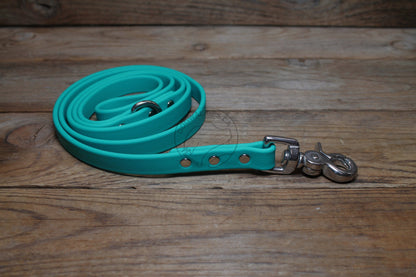 Teal Biothane Dog Leash - Regular 16mm (5/8") width