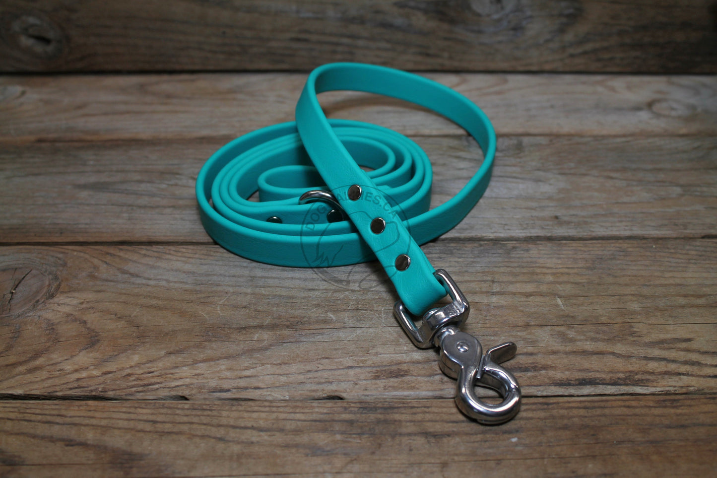 Teal Biothane Dog Leash - Regular 16mm (5/8") width