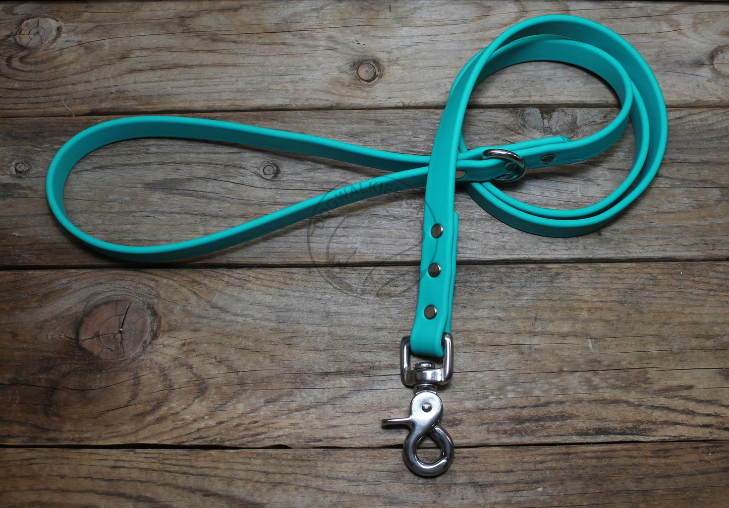 Teal Biothane Dog Leash - Regular 16mm (5/8") width