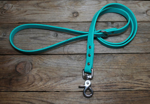 Teal Biothane Dog Leash