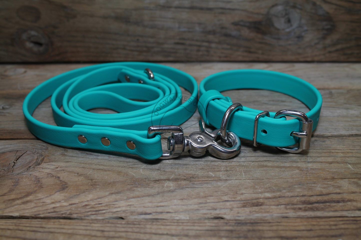 Teal Biothane Dog Leash - Regular 16mm (5/8") width
