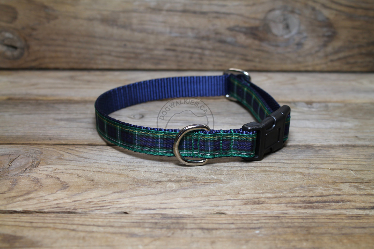 Campbell clan tartan - dog collar