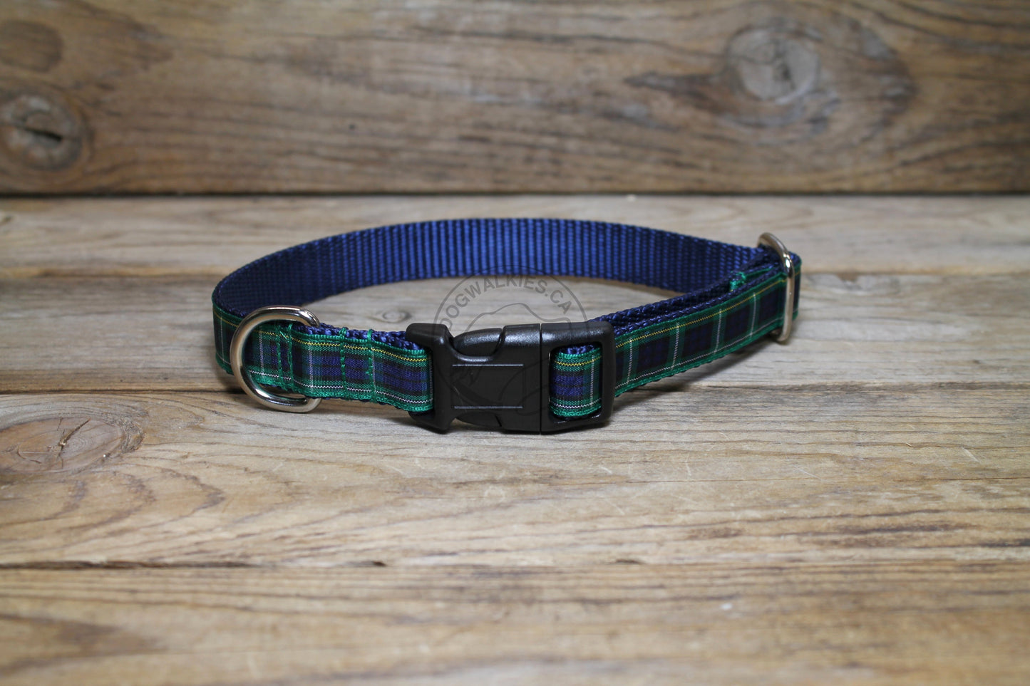 Campbell clan tartan - dog collar