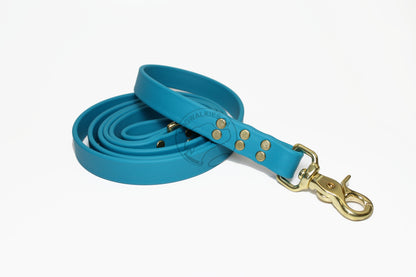 Oasis Blue Biothane Large Dog Leash