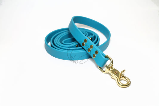 Oasis Blue Biothane Large Dog Leash
